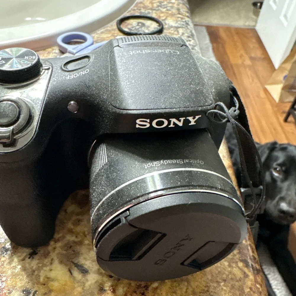 Sony Cyber-shot Digital Camera Black